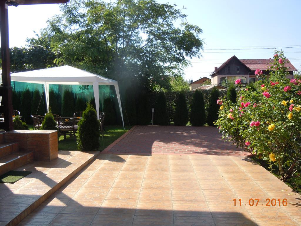 Pensiunea Marina Câmpina Exterior foto