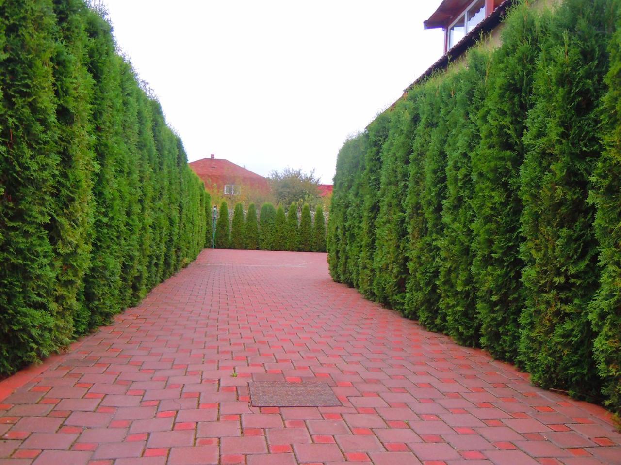 Pensiunea Marina Câmpina Exterior foto